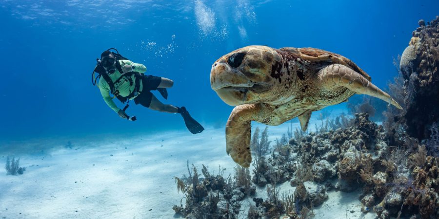 6a9279fe-6780-4b4f-8c96-e6660ec3c8b2